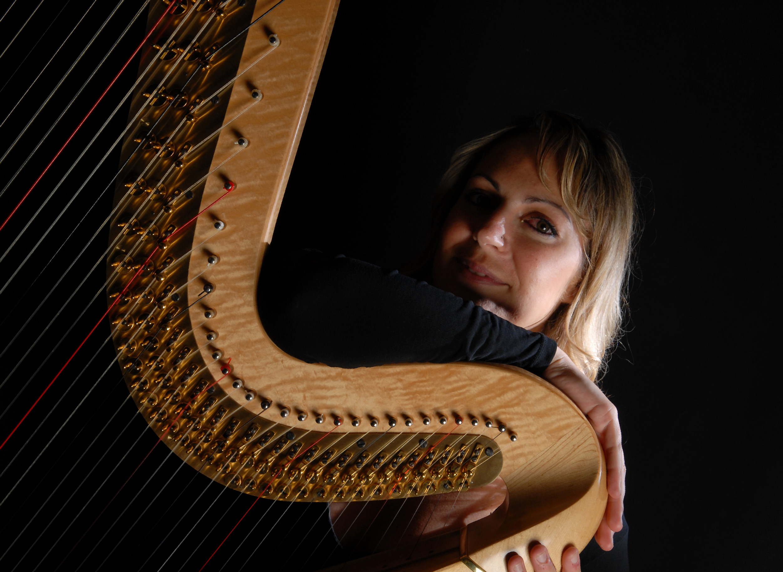 Hire Classical Harpist Harp Player USA North Carolina USA