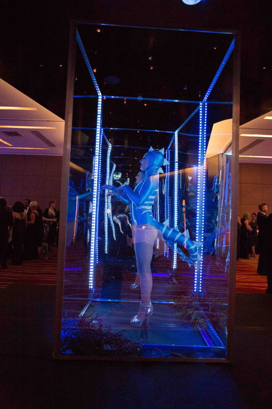 Book Mirror Box Acrobats Mirror Box Show Scarlett Entertainment