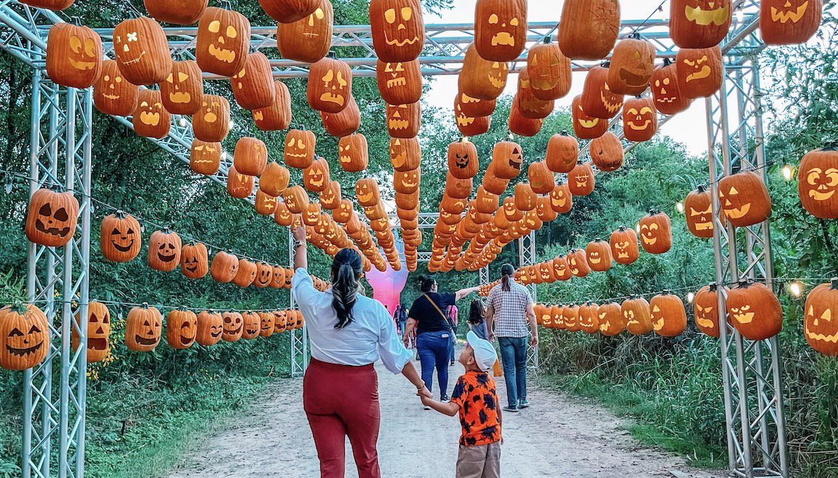 Can’tMiss Fall Events in Austin Do512 Family