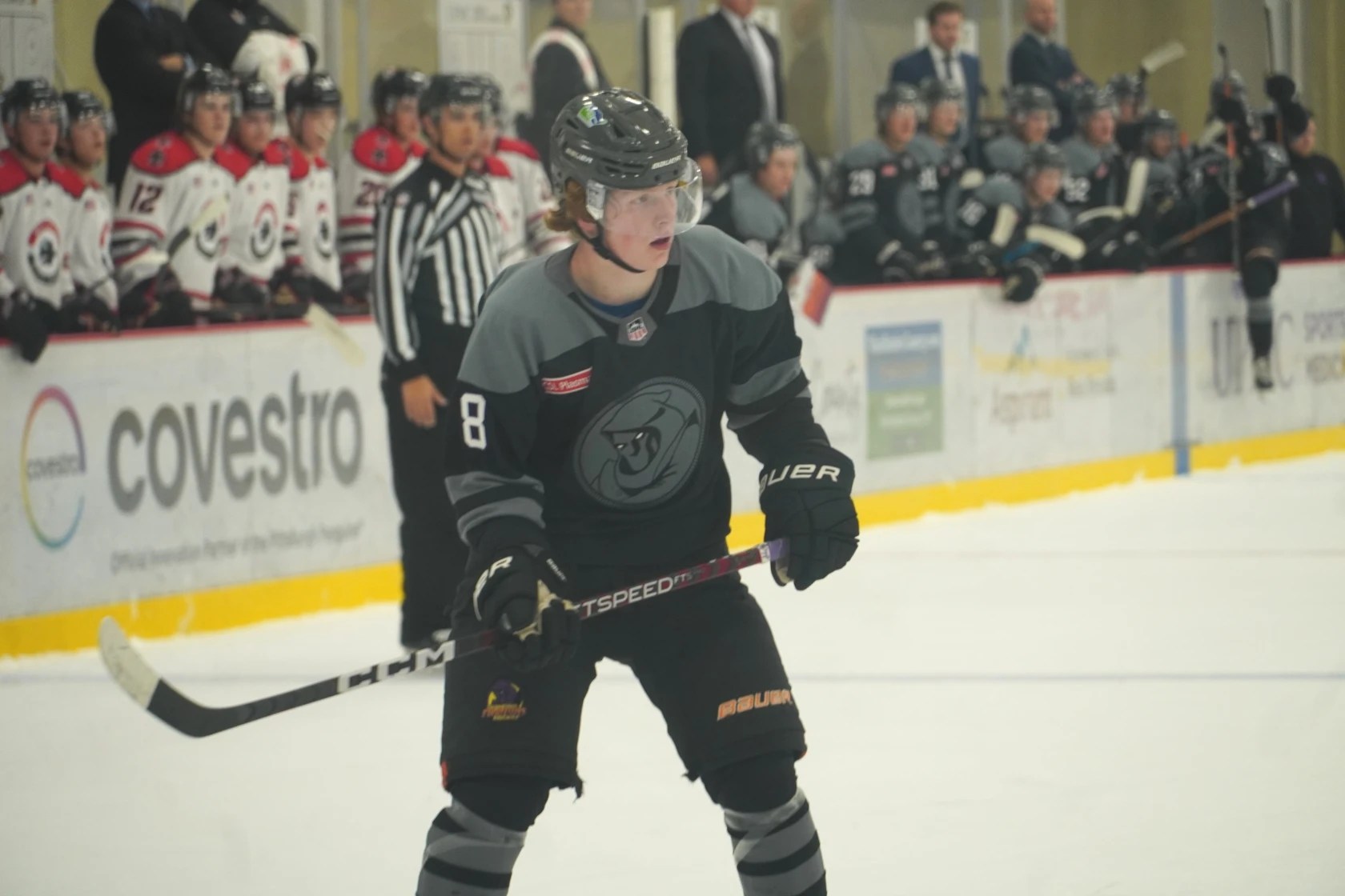 William Whitelaw DobberProspects