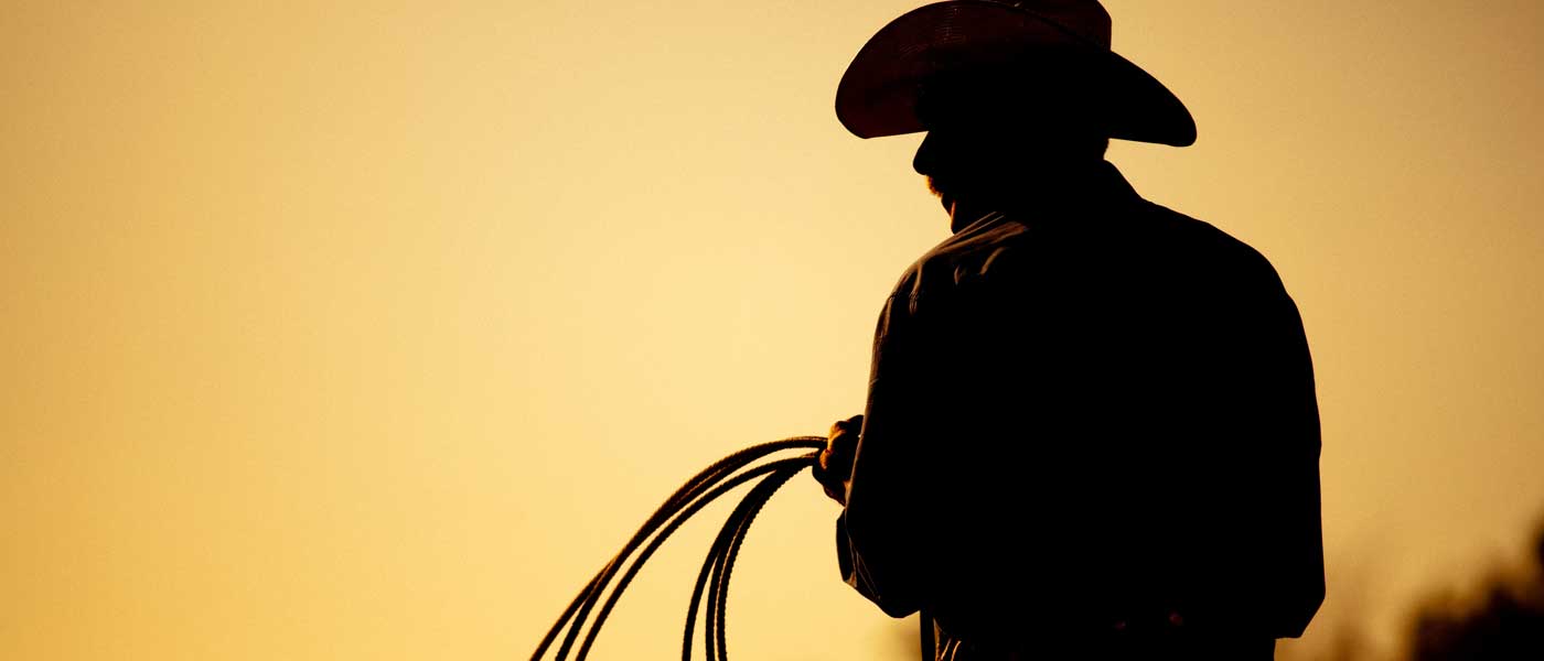 Dobson Telephone Company