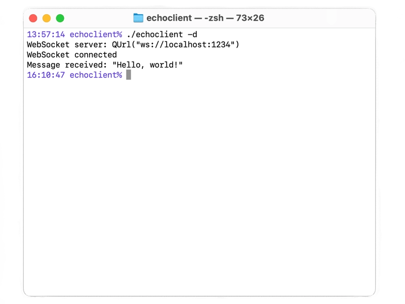 Secure Socket Echo Client Qt Sockets 6.5.6