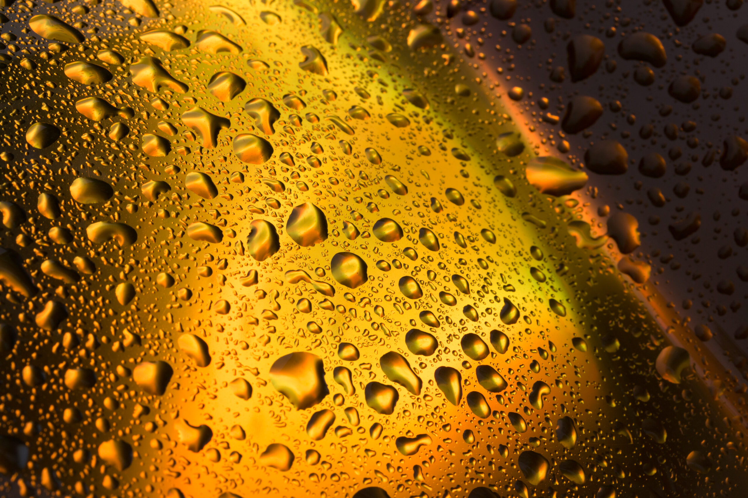 Relative Humidity for Homeowners DocAir Nashville, Tennessee