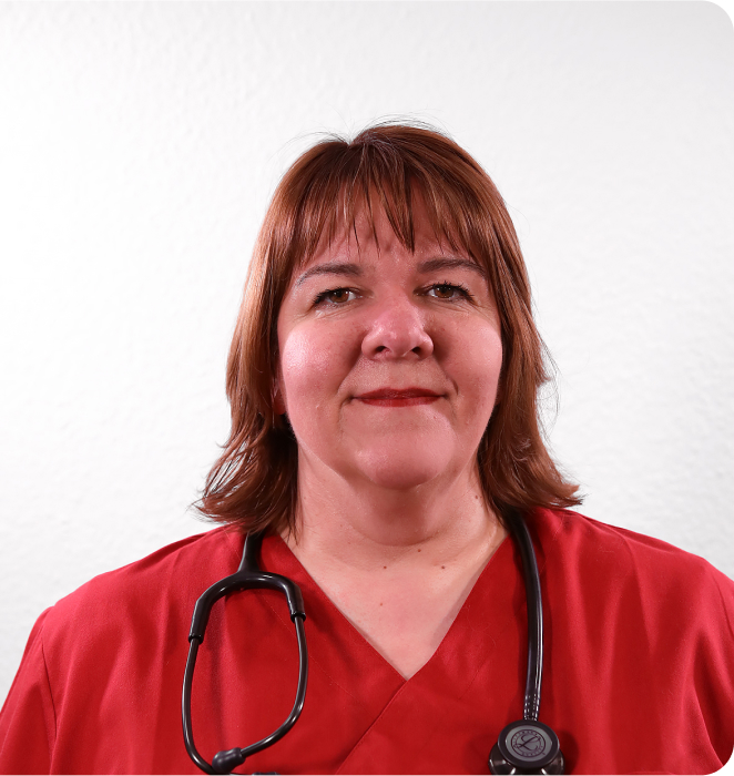 DocDoreen Small animal veterinary eduction programs