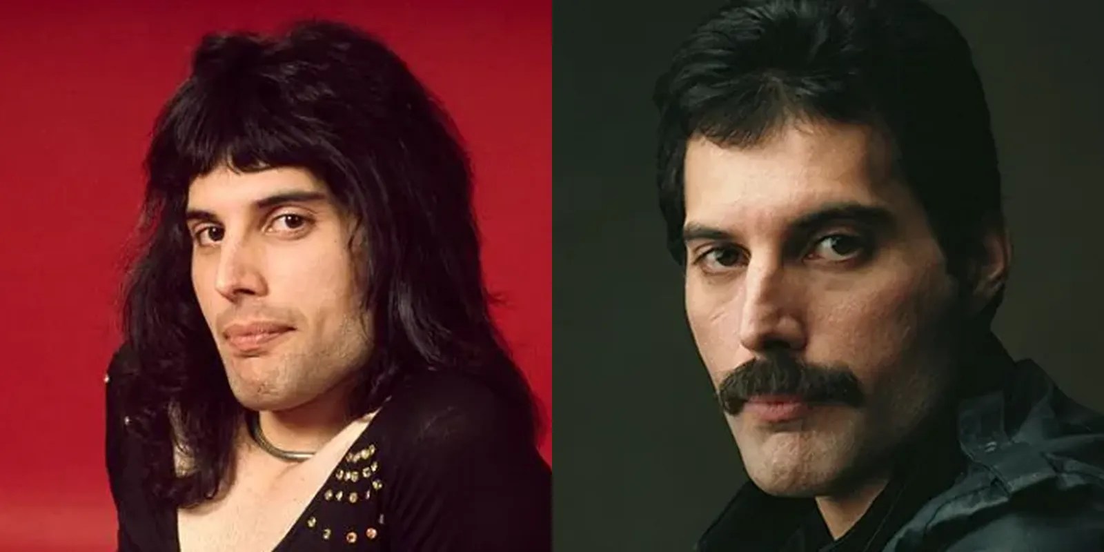 The Enduring Appeal Of Freddie Mercury's Hair Hair System