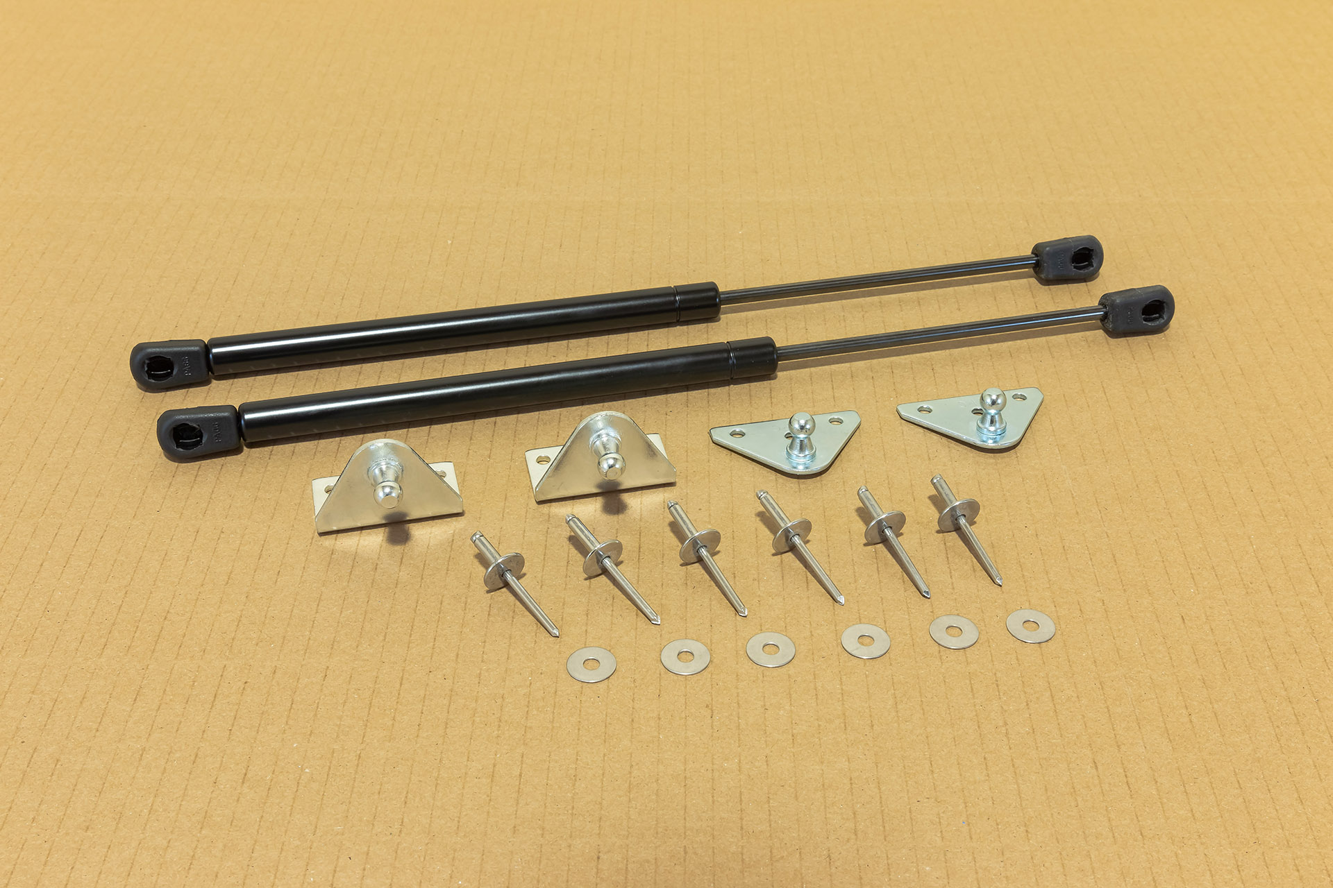 40L Replacement Gas Shocks DockBox by Betterway Products