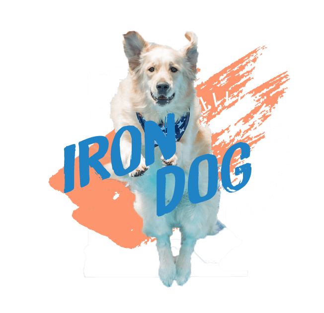 Get Started Dock Dogs