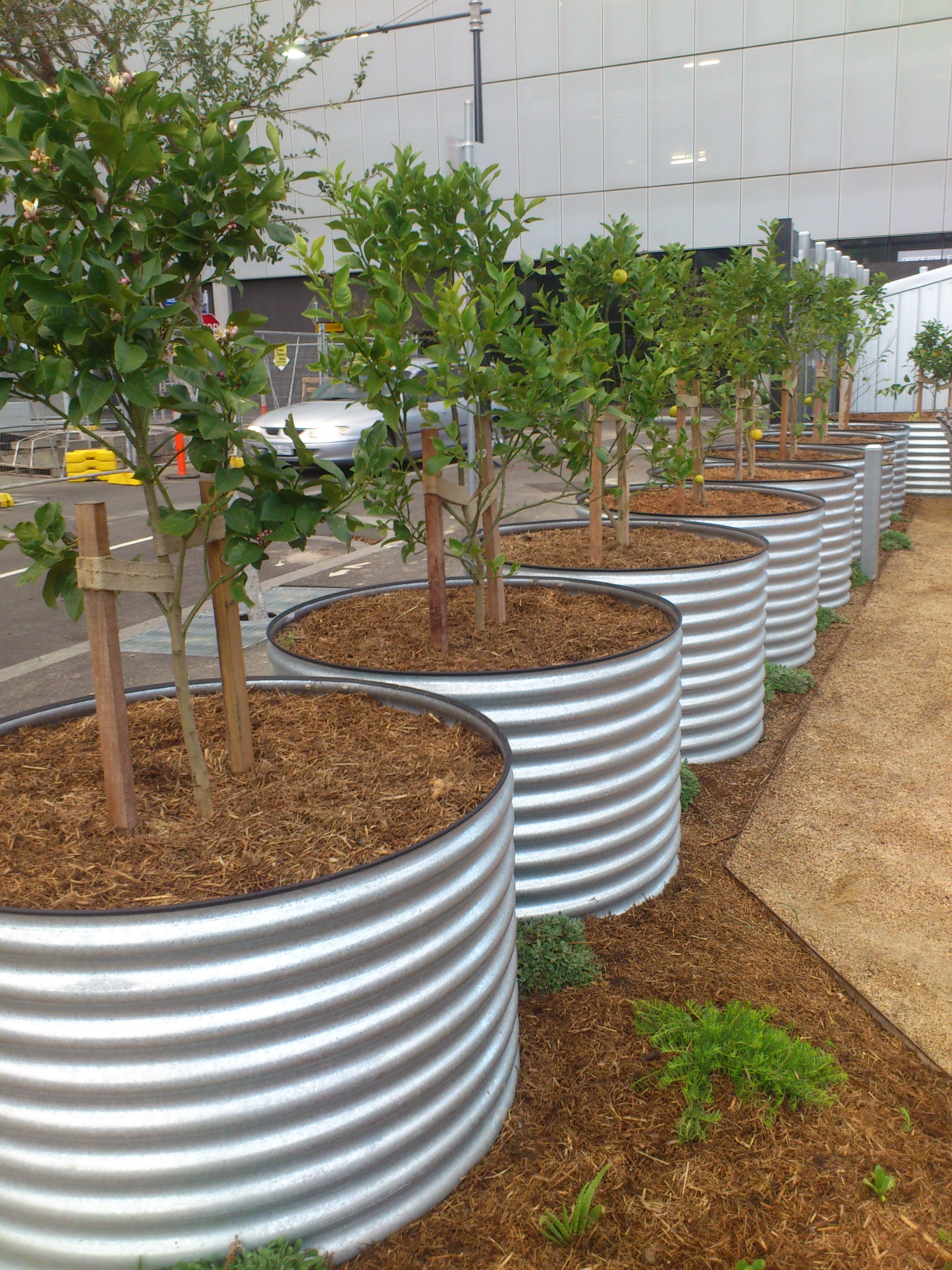 Gallery Docklands Community Garden