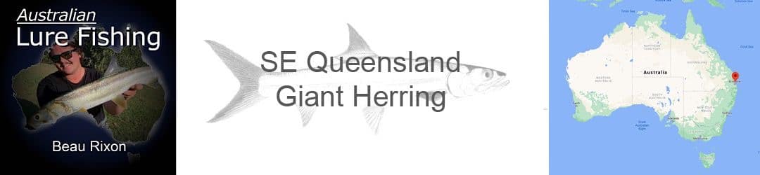 SE Queensland Giant Herring Beau Rixon Australian Lure Fishing