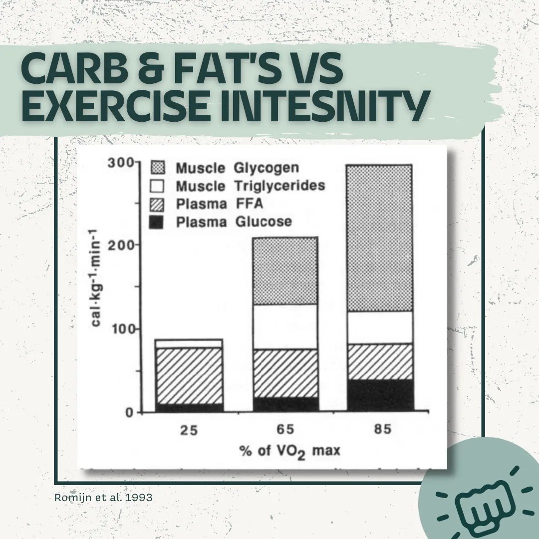 Carb & Fat VS Exercise Intensity Doc Lyss Fitness