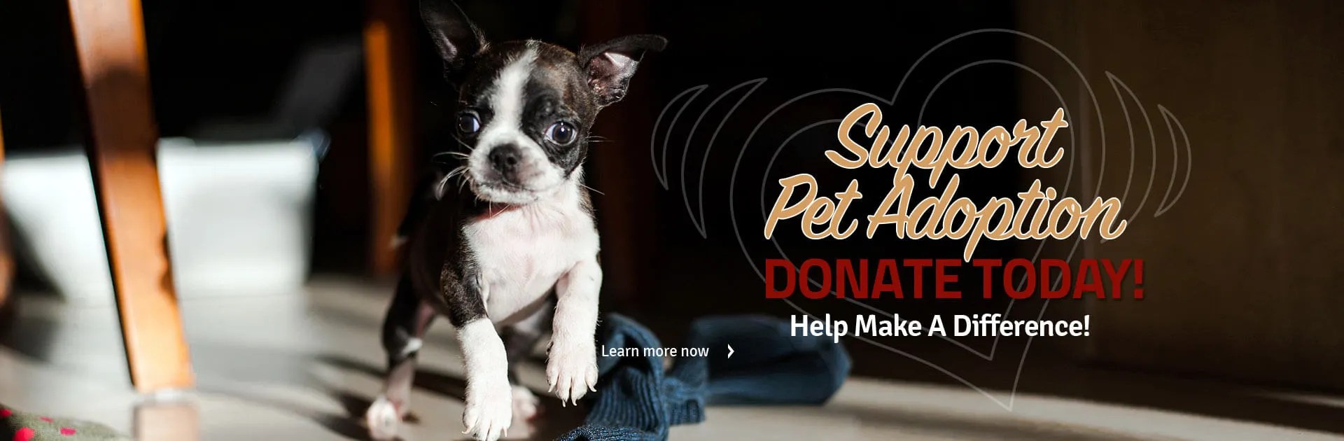 Dorothy O'Connor Pet Adoption Center — Victoria Texas Pet Adoption Center