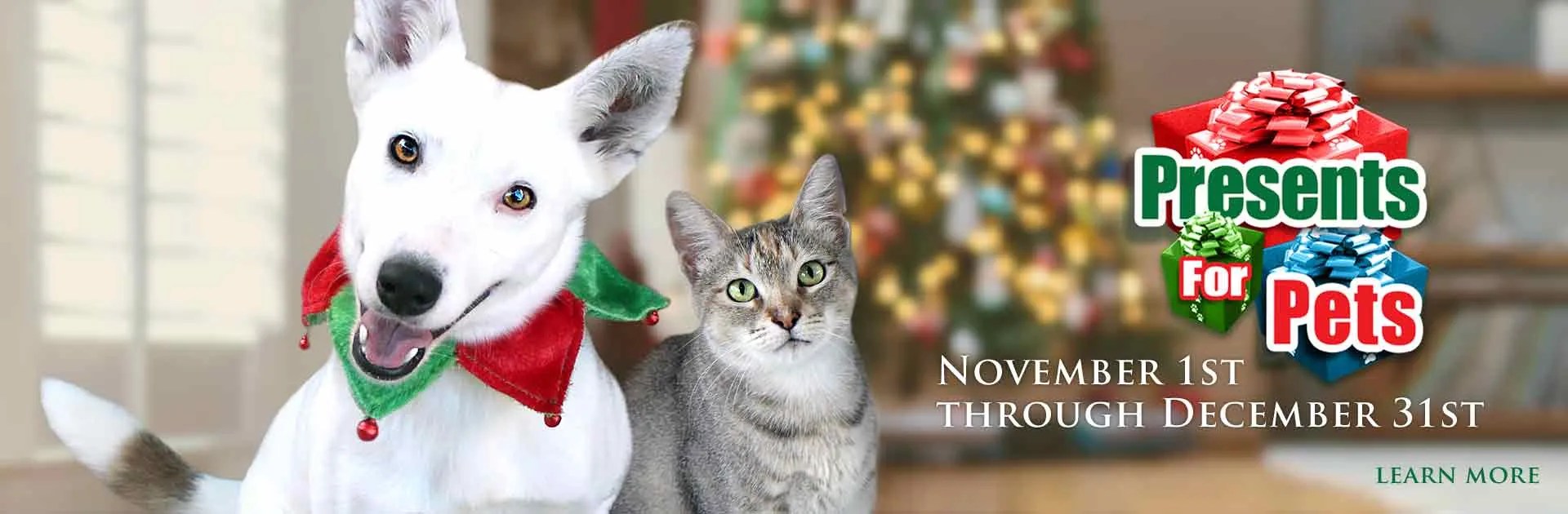 Dorothy O'Connor Pet Adoption Center — Victoria Texas Pet Adoption Center