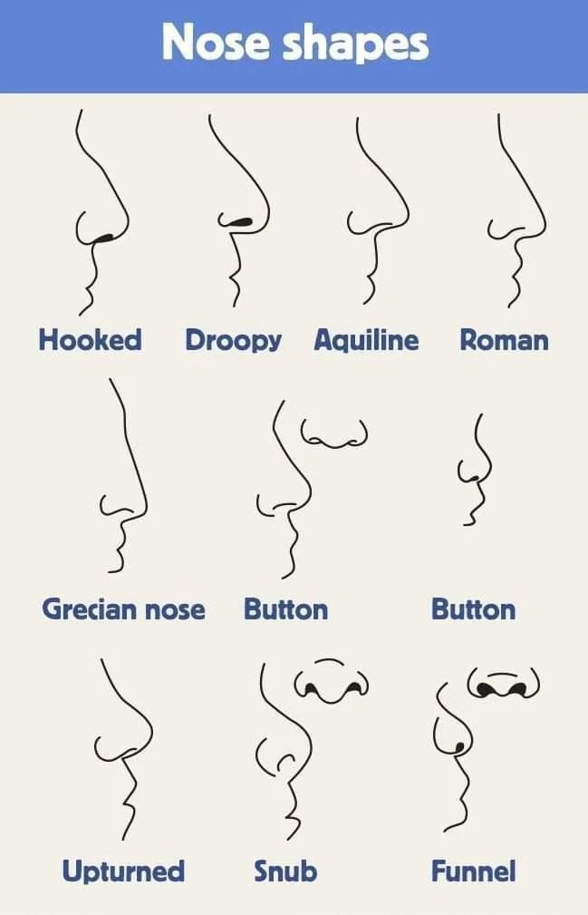 Select Your Nose Shape And We’ll Tell You About Your Personality DocPe