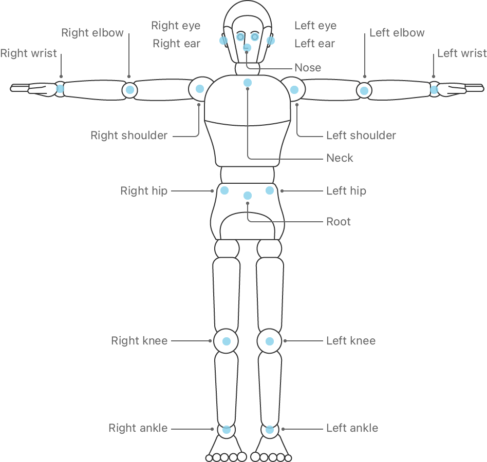 Detecting Human Body Poses in Images Apple Developer Documentation
