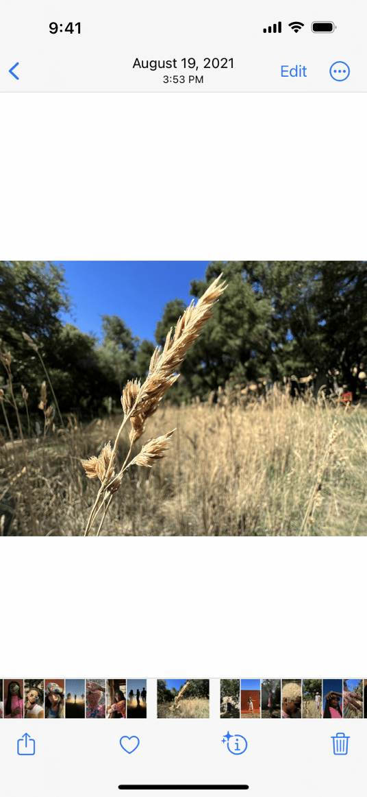 Status bars Apple Developer Documentation