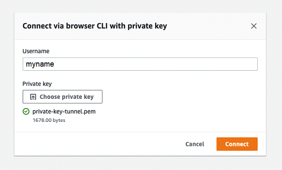 Open A Tunnel And Use Browserbased Ssh To Access Remote Device