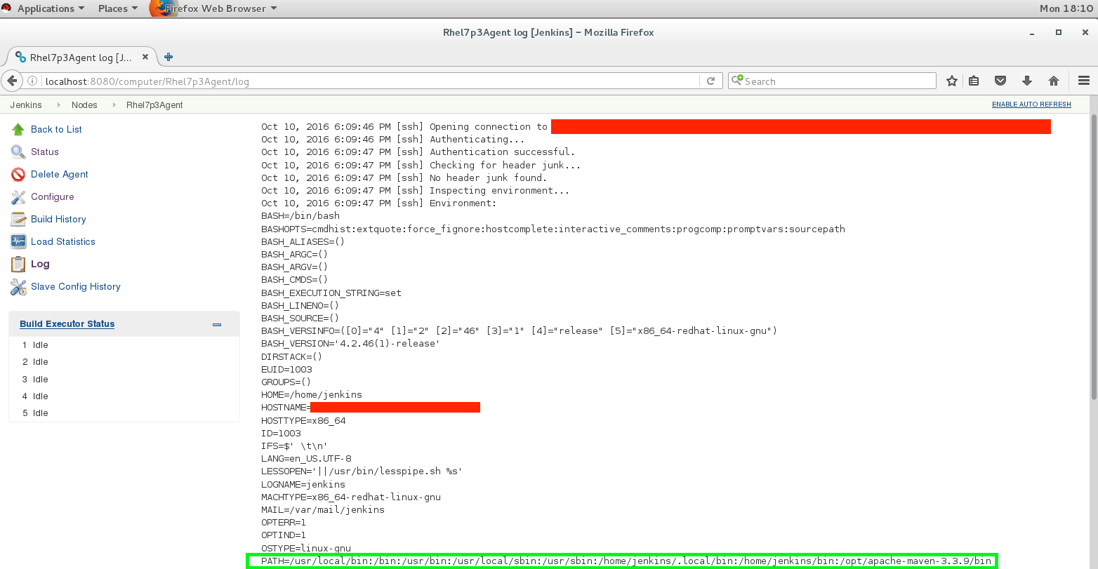 How to set up a Jenkins agent to have the same path as the user when