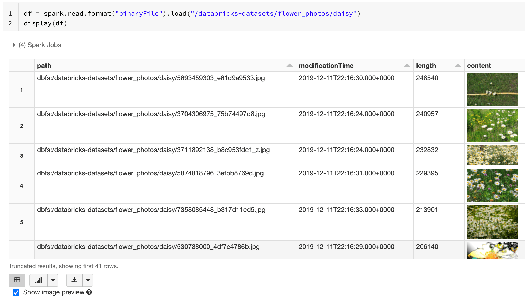 Binary file Databricks on AWS