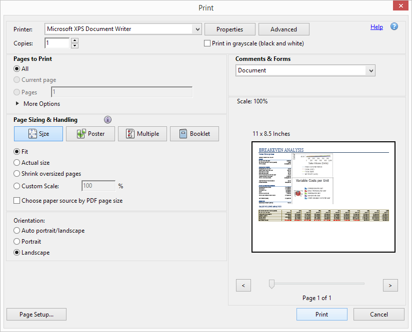 Printing  Forms Controls DevExpress Documentation
