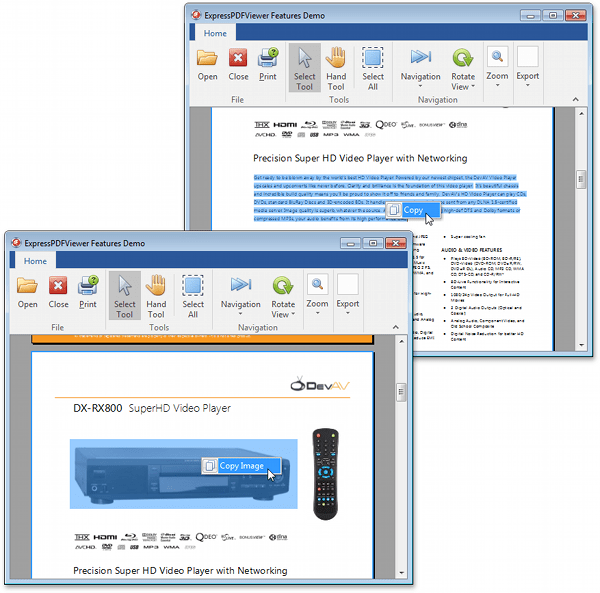 How to Select and Copy the PDF Document's Content VCL DevExpress Documentation