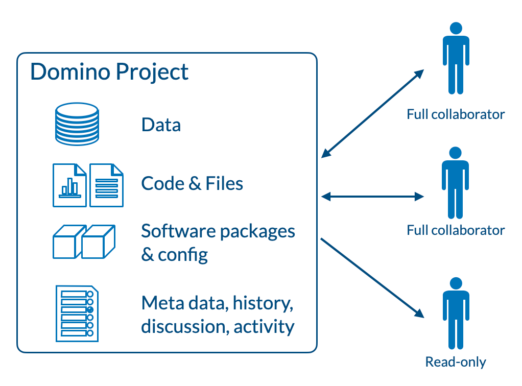 Domino Project