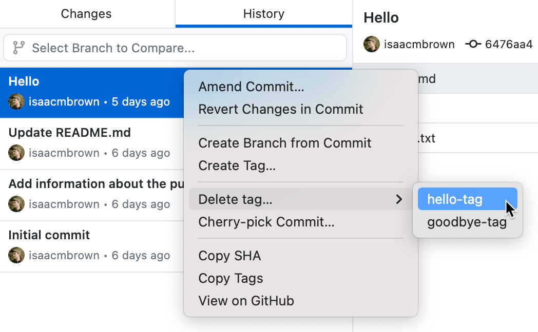 Managing tags GitHub Docs
