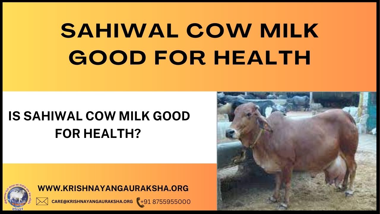 Is Sahiwal cow milk good for health