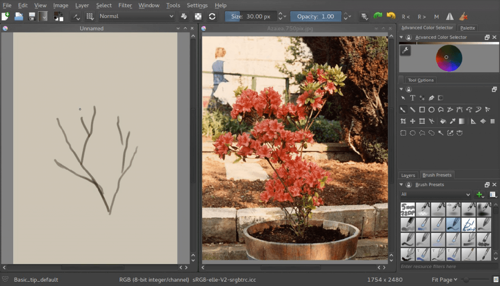 Making An Azalea With The Transformation Masks — Krita