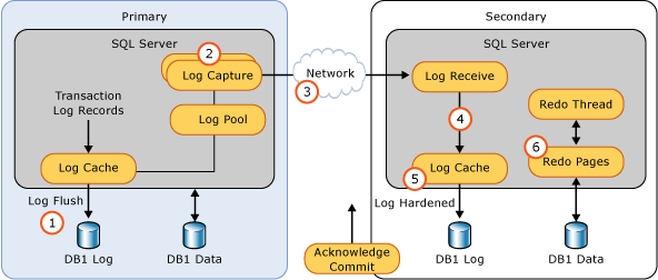 Monitor performance for availability groups SQL Server Always On
