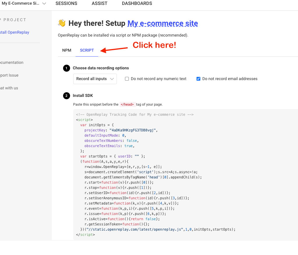 Adding OpenReplay with a JavaScript Snippet OpenReplay Documentation