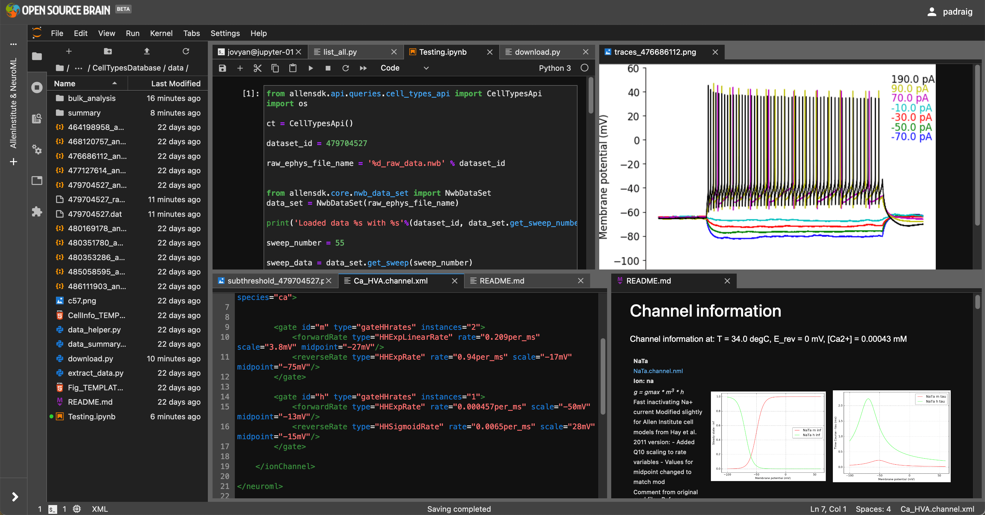 JupyterLab — Open Source Brain Documentation