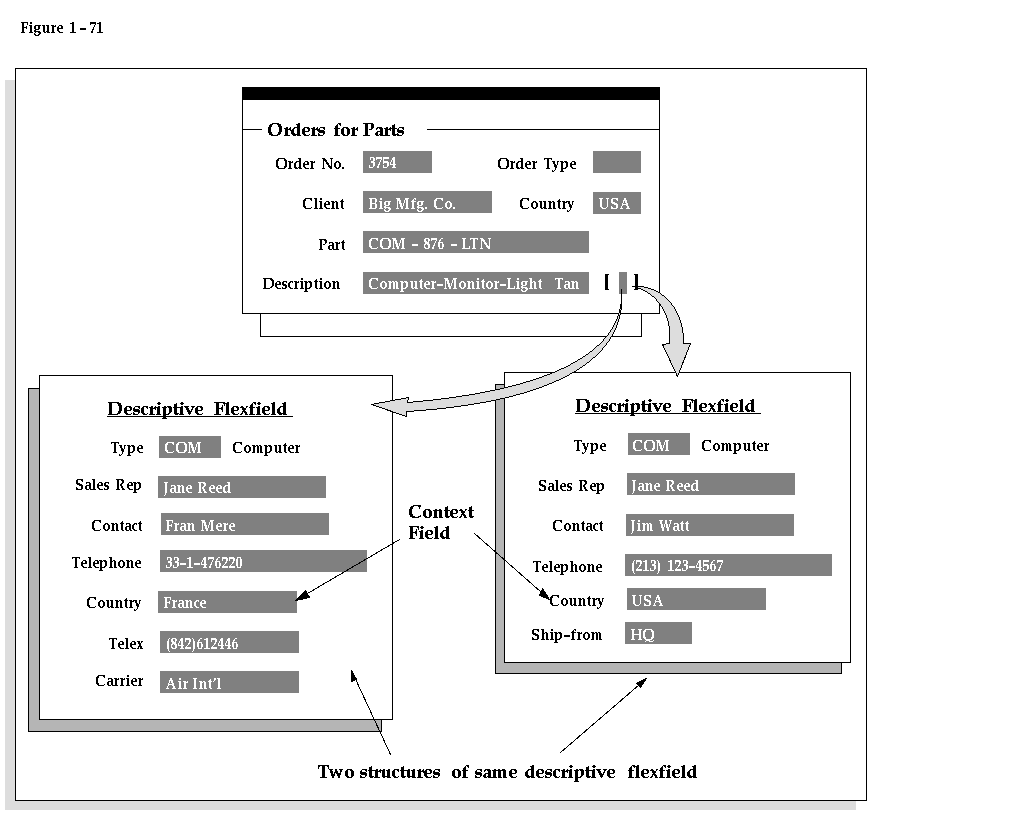 Descriptive Flexfield Concepts (User, System Administrator, and Flexfields Help)