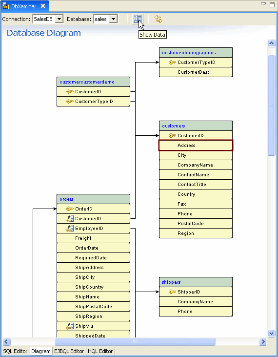 Viewing Database Diagrams and Running Queries