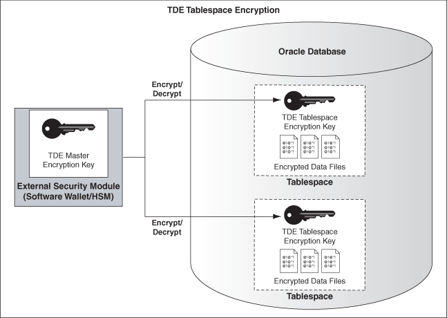 Securing Stored Data Using Transparent Data Encryption