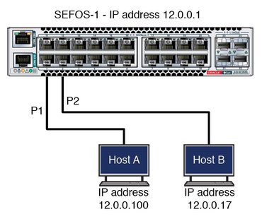 Basic SEFOS Topology - Oracle Switch ES1-24 Documentation
