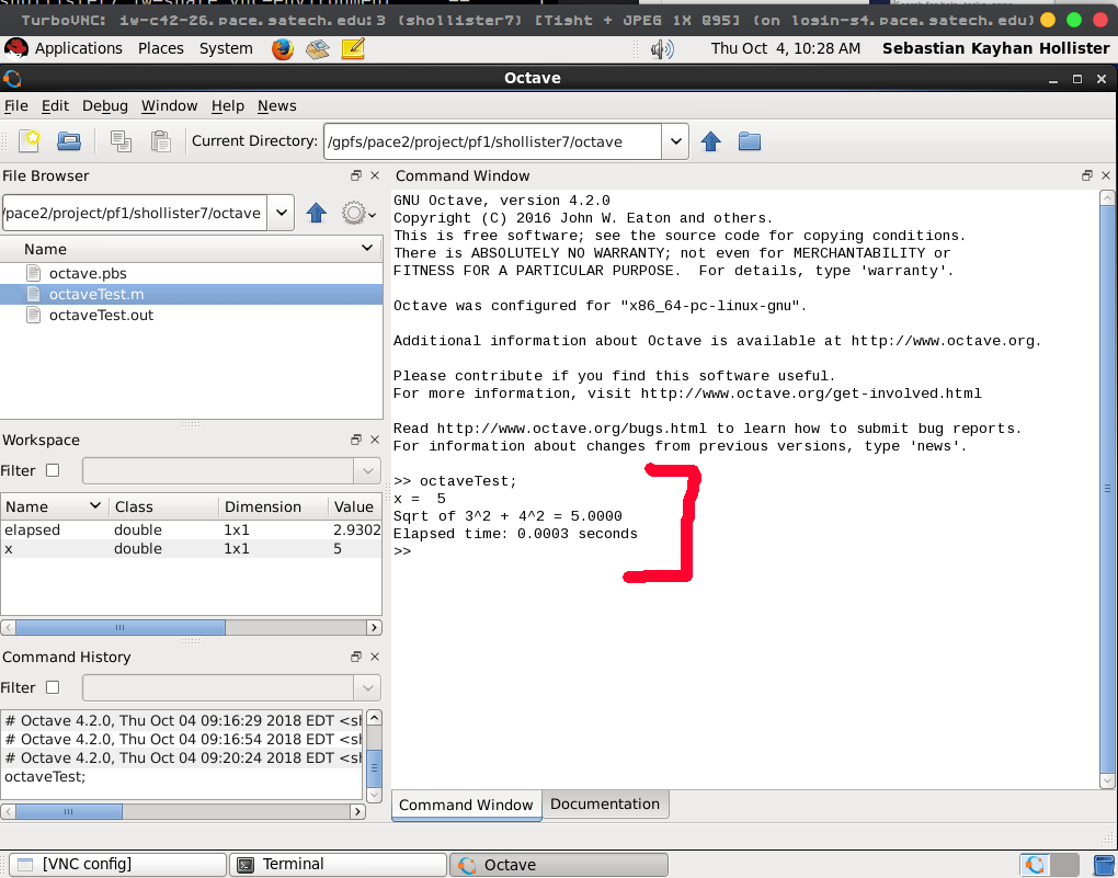 Octave PACE Cluster Documentation