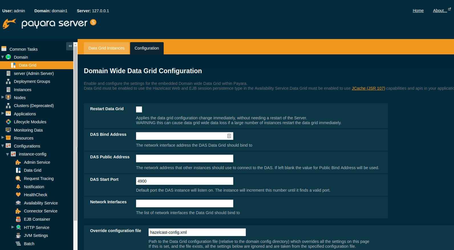 Configuring the Domain Data Grid underlying Hazelcast Payara