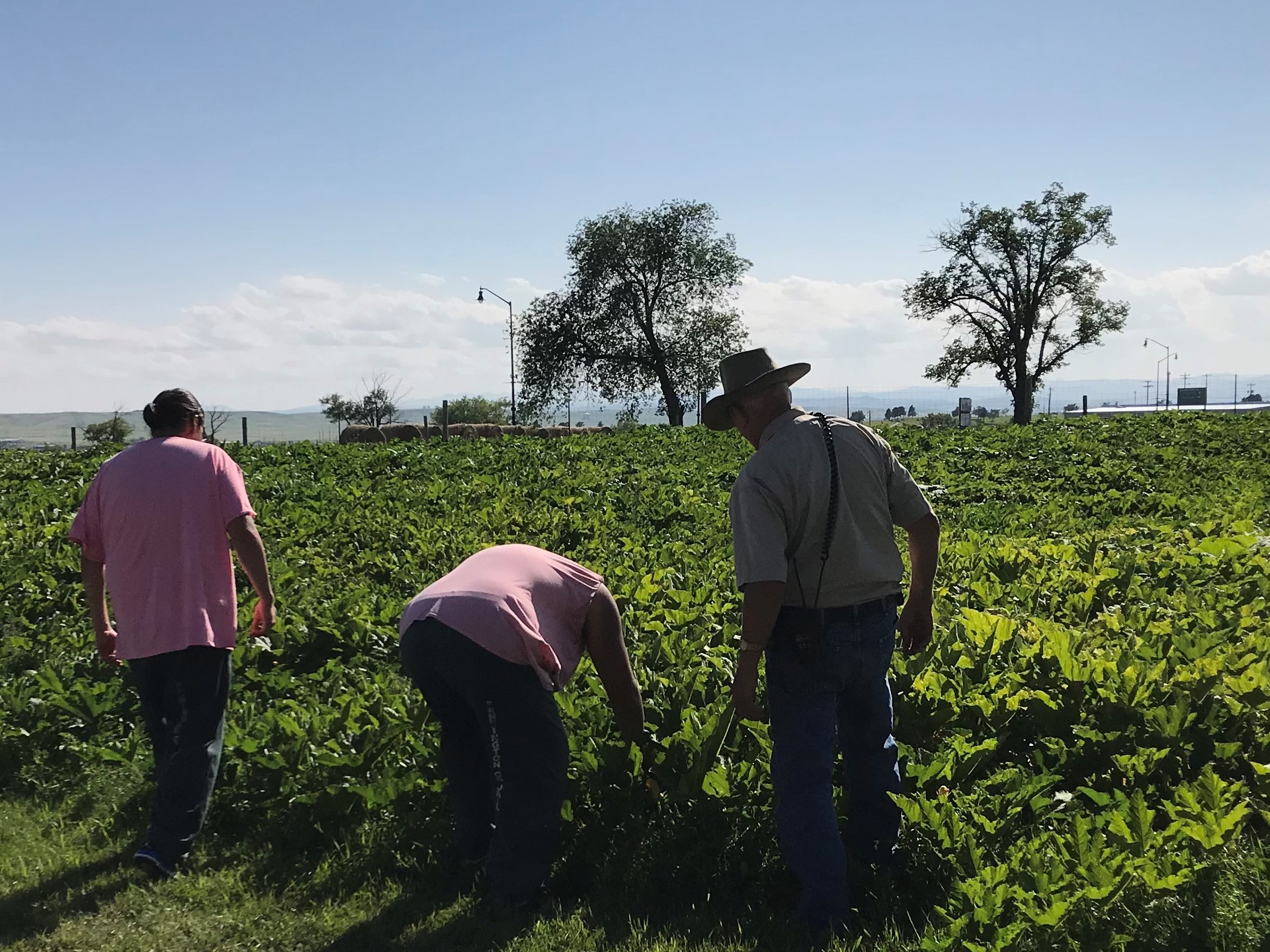 Pennington County Jail Pennington County, South Dakota