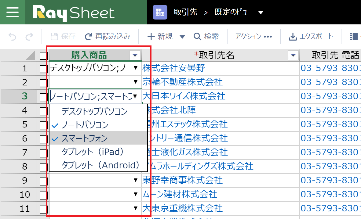 選択リスト（複数選択）に入力する RaySheet ユーザガイド