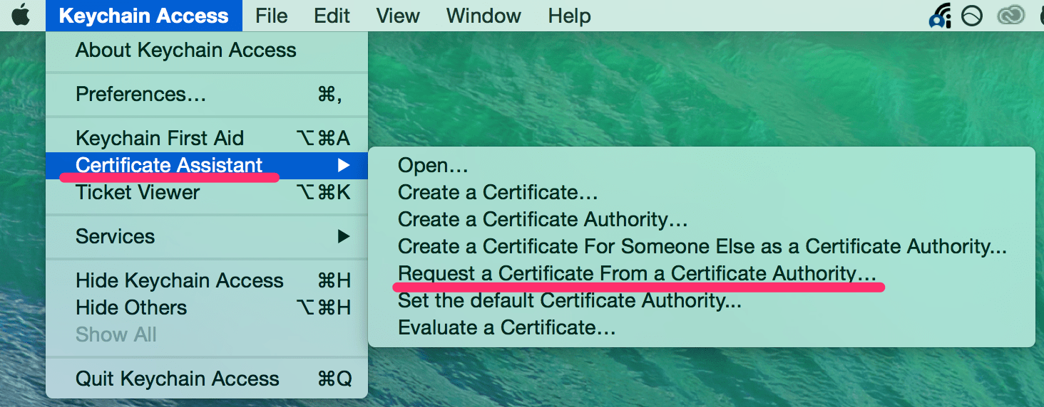 Settings for APNs Certificate (iOS) — Repro documentation