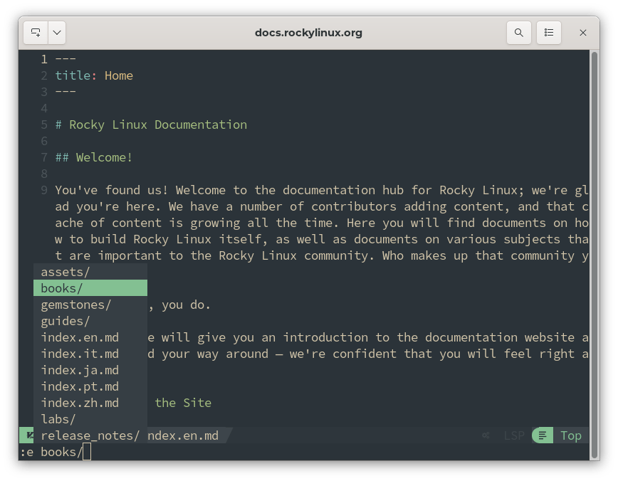 Using NvChad Documentation