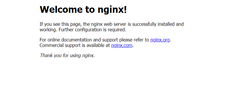 Nginx Documentation