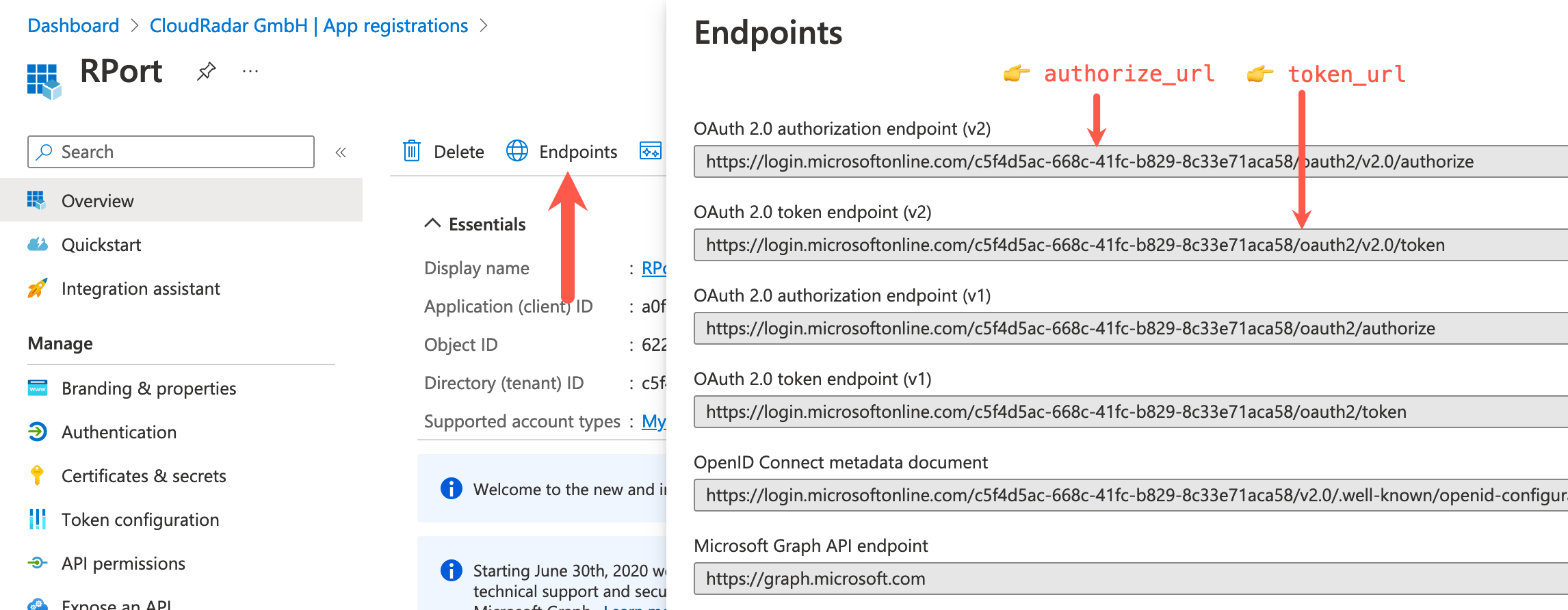 Microsoft Setup RPort remote access and remote management