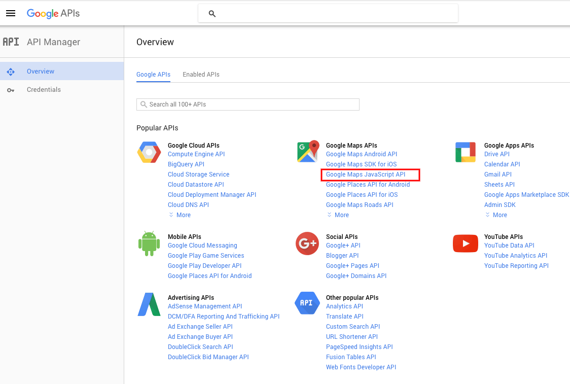 How to generate a Google API KEY of your own RTTheme Documents