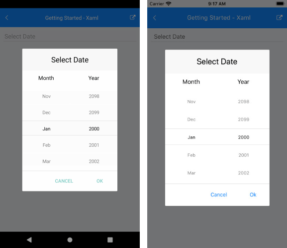 Xamarin Date Picker Documentation Date Format Strings Telerik UI
