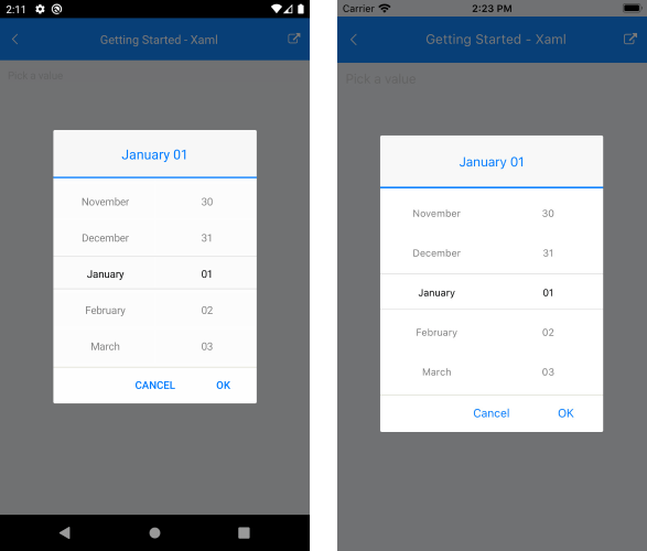 Xamarin DateTime Picker Documentation DateTime Format Strings