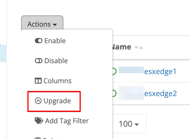 Upgrading Trustgrid Appliance Nodes