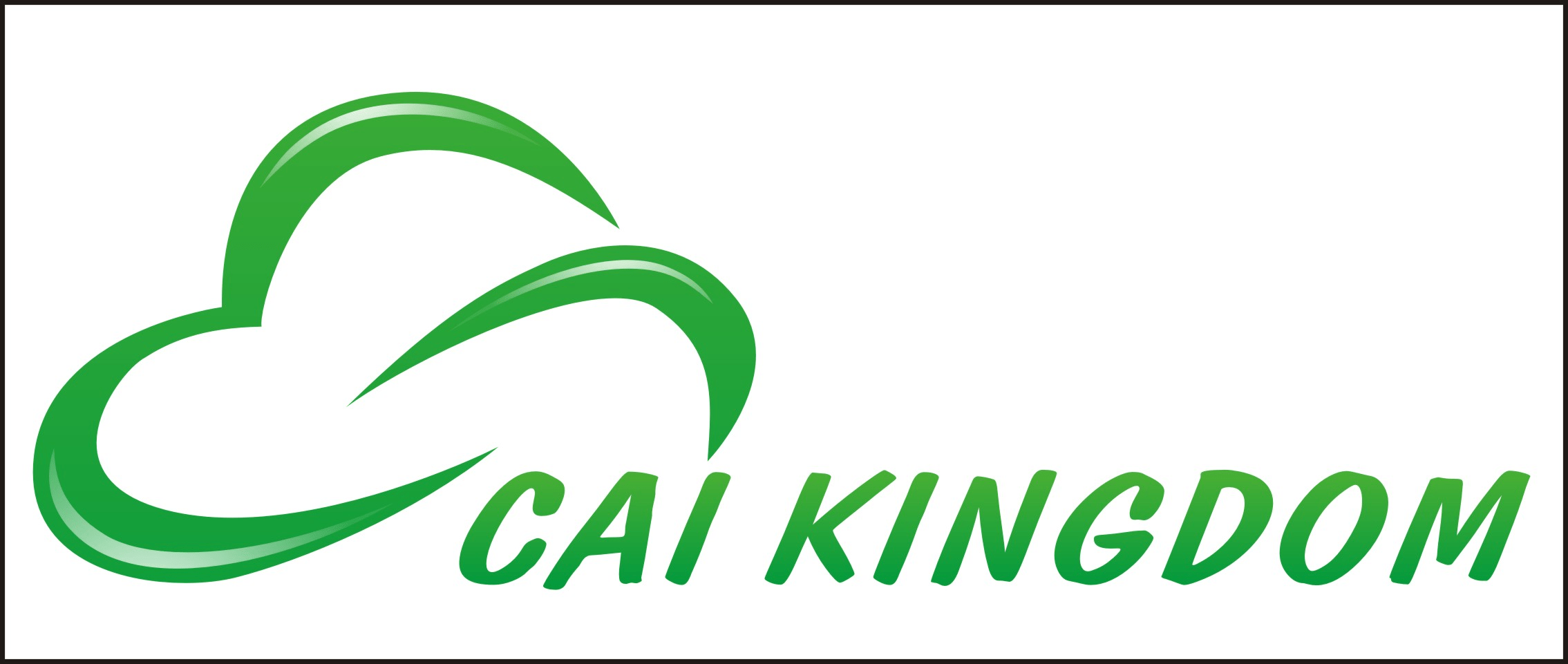 CAI KINGDOM GROUP CO., LIMITED İstanbul İplik Fuarı