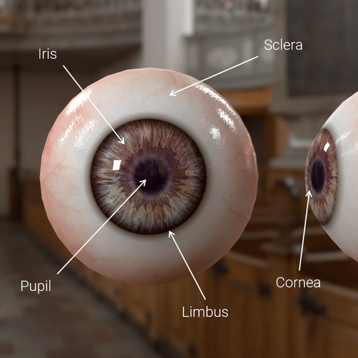 Eye Shader High Definition RP 12.0.0