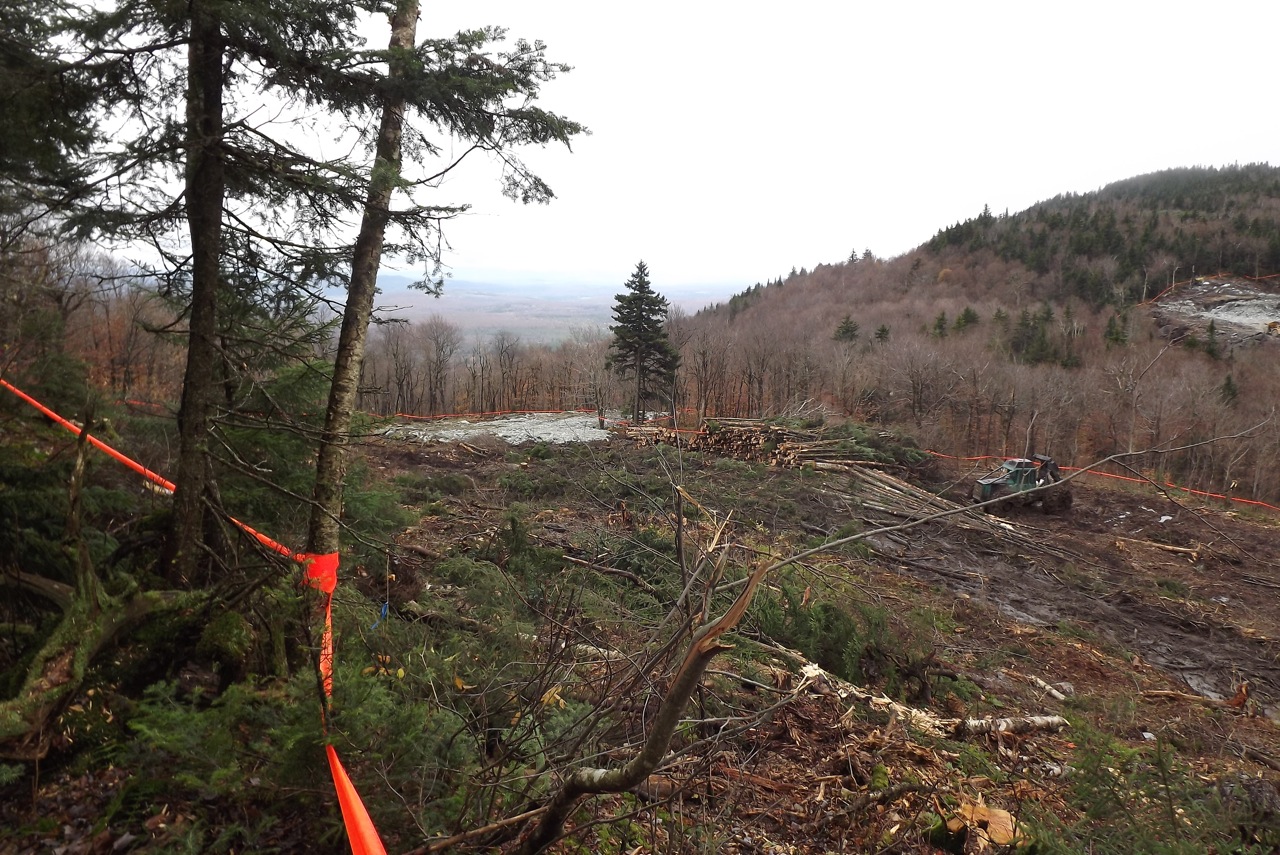 Weather Lowell Vt Hourly at Chelsea Scott blog